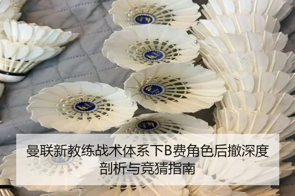 曼联新教练战术体系下B费角色后撤深度剖析与竞猜指南